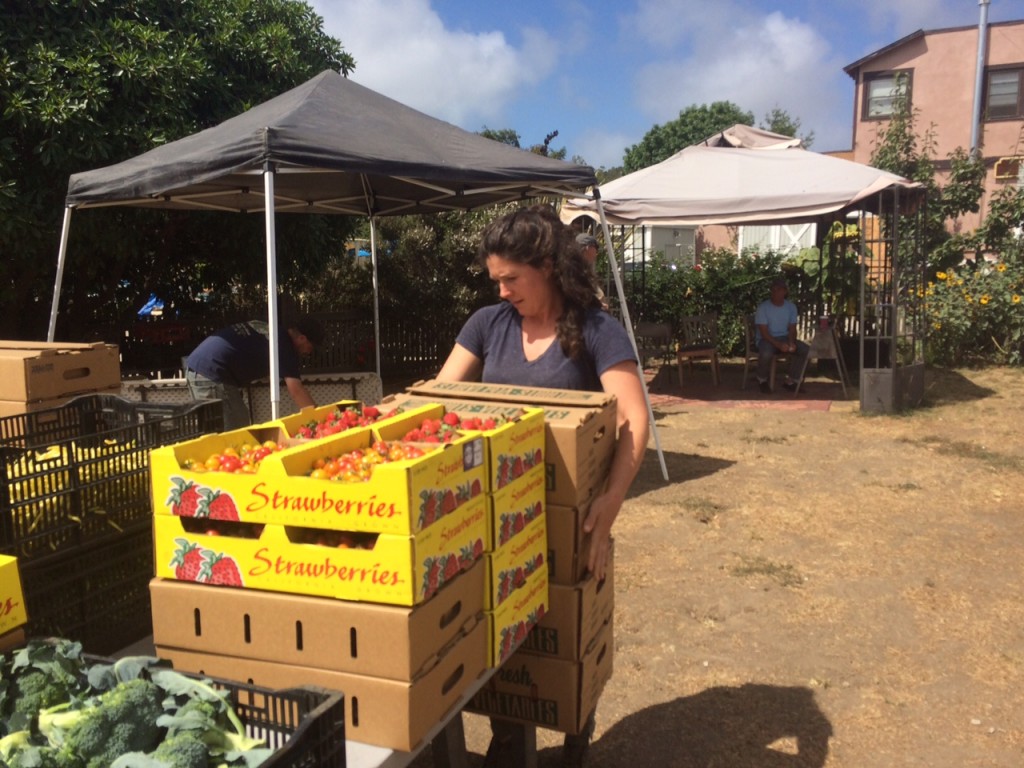 Nichole Mikaelian unloads vegetables at the market.