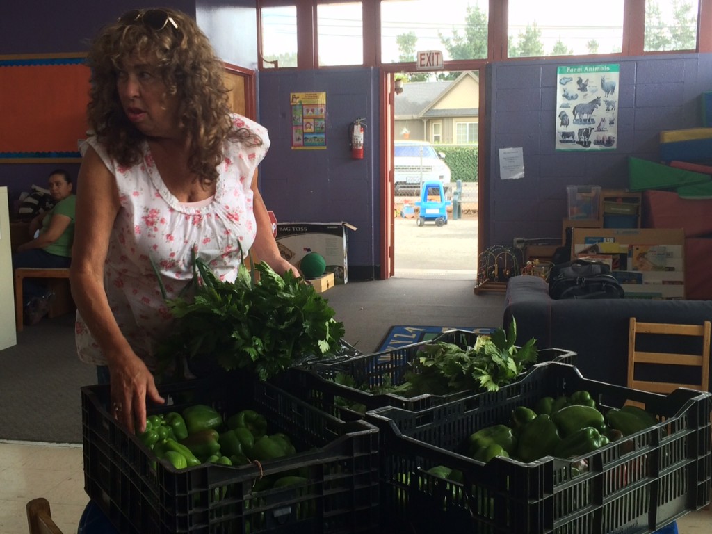 Wendy Wardwell surveys vegetables from Potraro Nuevo.